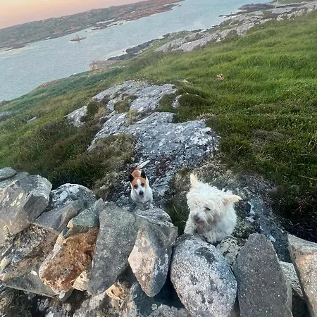 Atlantic House * Dog Island